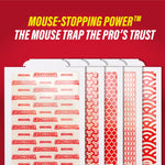 Fanned arrangement of several Catchmaster glue boards showing different red patterned adhesive surfaces beneath bold product headline.