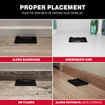 Four-panel images showing Catchmaster glue traps placed along a baseboard, under a sink, on floors, and along pathways.