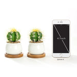 Two white ceramic jar pots on bamboo trays next to an iPhone 6 size graphic showing a 4.7 inch diagonal