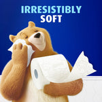 Bear mascot hugging and sniffing Charmin toilet paper with headline 'Irresistibly Soft' on blue background