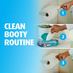 Graphic steps showing use of toilet paper and Charmin flushable wipes with a hand pulling a wipe from the pack
