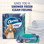Charmin branded multipack and single pack of flushable wipes displayed beside folded towels with product tagline