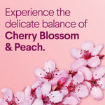 Graphic with cherry blossom flowers and text describing the scent balance of cherry blossom and peach