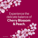 Graphic panel with cherry blossom flowers and text promoting the delicate balance of Cherry Blossom & Peach on burgundy background