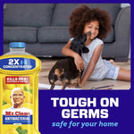 Lifestyle scene with a child and small dog on the floor beside a Mr. Clean lemon antibacterial bottle and text ‘Tough on Germs’