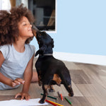 Child sitting on a wood-look floor being licked by a small black dog with colored pencils scattered nearby and a pale blue wall behind.