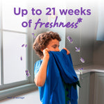 Child smelling freshly laundered blue clothing with floating lavender petals and text about up to 21 weeks of freshness