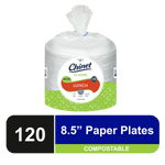 Stacked Chinet Classic lunch paper plates in clear plastic wrap with green label and 'Lunch' badge