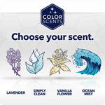 Scent selection graphic labeled 'Choose your scent.' with illustrated lavender, clean drop, vanilla flower, and ocean mist icons.
