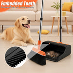 Broom and dustpan on floor with dog nearby highlighting embedded teeth detail for hair removal
