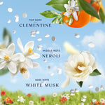 Illustrated citrus and white blossoms with floating scent beads and text listing top, middle, and base notes against a sky backdrop.