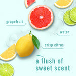 Graphic of grapefruit, lemon and lime with text describing a flush of sweet scent for citrus fragrance