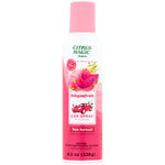 Tall Citrus Magic Dragonfruit car spray can with pink cap and fruit illustration on white background