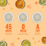 Graphic showing three vented air freshener discs with text highlighting 45 days, no mess, and odor absorption