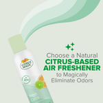 Angled Citrus Magic Fresh Citrus spray can with stylized green scent swirls and copy promoting a citrus-based air freshener.