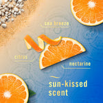 Graphic of citrus slices, pebbles and labeled scent notes reading sea breeze, citrus, nectarine with sun-kissed scent text
