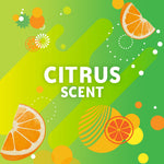 Bright citrus-themed graphic reading "Citrus Scent" with orange slice illustrations and green background