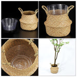 Collage showing a clear plastic pot liner used inside a woven seagrass basket and holding a potted plant