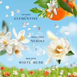 Illustration of clementine, white flowers and petals with text listing top, middle and base fragrance notes