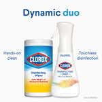 'Dynamic duo' graphic showing a Clorox disinfecting wipes canister beside a Clorox Disinfecting Mist spray bottle