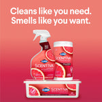 Product group image showing Clorox Scentiva spray, wipes canister, and wet refills with slogan about cleaning and scent.