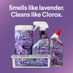 Promotional image of multiple Clorox Scentiva lavender products grouped with headline “Smells like lavender. Cleans like Clorox.”