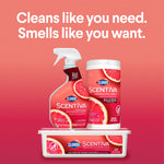Promotional display of Clorox Scentiva products including spray, canister of wipes and refill tub with headline cleans like you need