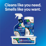 Promotional arrangement of Clorox Scentiva products including spray, wipes canister, and wet mopping cloths tub with headline text