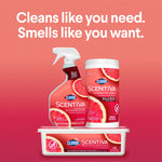 Product lineup of Clorox Scentiva cleaner spray, canister and refill tub with headline about cleaning and scent