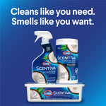 Promotional stack showing Clorox Scentiva multi-surface spray, wipes tub and refill tray with headline about cleaning and scent.