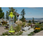 Close-up of a hanging Rescue W-H-Y trap containing captured insects with landscaped yard and distant view behind