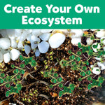 Close-up overhead view of sprouting seedlings, potting mix and white river stones with text 'Create Your Own Ecosystem' header.