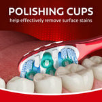Close-up rendering of a Colgate toothbrush polishing cups engaging tooth surfaces with text about removing surface stains