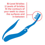 Illustration of a folding travel toothbrush highlighting bi-level bristles that fit tooth contours to clean surfaces and in-between