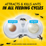 Illustration of the dual-compartment bait station labeled solid bait and gel bait with ants on a bright yellow background