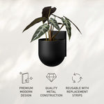Black Command Décor wall planter with a plant inside and icons highlighting modern design, metal construction and reusable strips