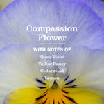 Close-up macro of a pansy-style Compassion Flower with text listing scent notes like sheer violet and lemon