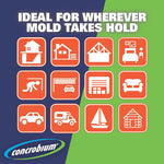 Concrobium infographic with icons showing places where mold takes hold on green and navy background