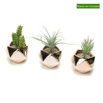 Three copper geometric planters shown with faux succulents and a small green label reading 'Plants not included'