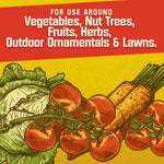 Graphic panel listing permitted uses with illustrated tomatoes, carrots and cabbage on a yellow textured background