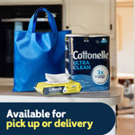 Cottonelle Summer Fresh flushable wipes pictured with a roll of Cottonelle Ultra Clean toilet paper and a blue tote