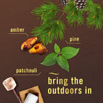 Illustration of scent notes including pine sprig, amber stones and patchouli leaf with text bring the outdoors in