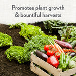 Crate of fresh vegetables and leafy greens on dark soil with text promoting plant growth and bountiful harvests