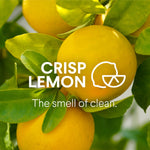 Close-up photo of ripe lemons on a branch with text overlay reading crisp lemon and the smell of clean.