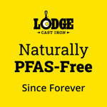 Lodge 10.25" Seasoned Cast Iron Skillet