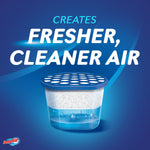 Promotional image with text ‘Creates Fresher, Cleaner Air’ above an illustrated DampRid moisture absorber showing crystals and collected liquid