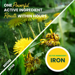Split before-and-after image of dandelions with overlay text highlighting iron as the active ingredient and results within hours.