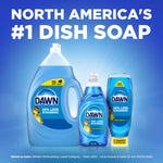 Blue Dawn product range graphic with large text 'NORTH AMERICA'S #1 DISH SOAP' and three blue Dawn containers