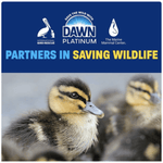 Promotional banner with Dawn Platinum logo, rescue partner icons and close-up of a duckling, promoting wildlife saving