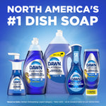 Product lineup image with multiple Dawn Platinum bottles and headline “NORTH AMERICA’S #1 DISH SOAP” on blue background